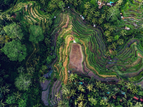 0048 592x444