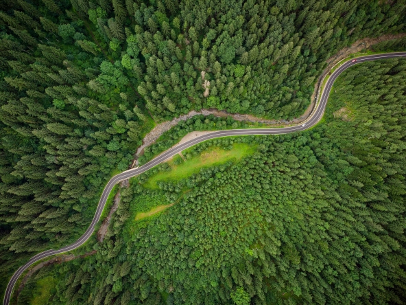 0054 592x444